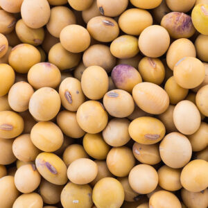 Soybeans