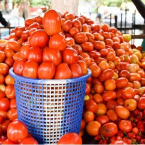 Tomatoes