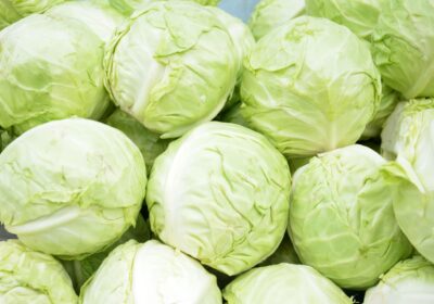 cabbage cabbage