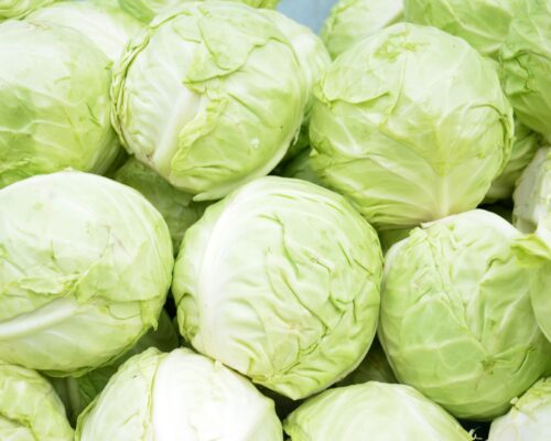 cabbage