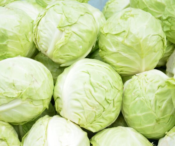 cabbage cabbage