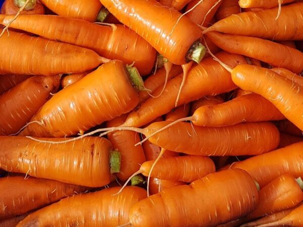 carrots
