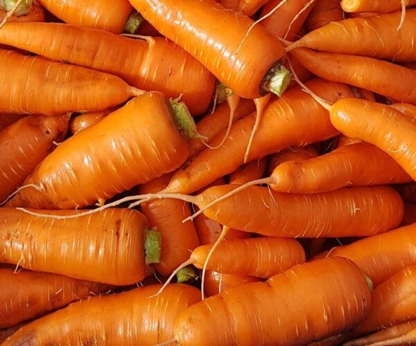 carrots carrots