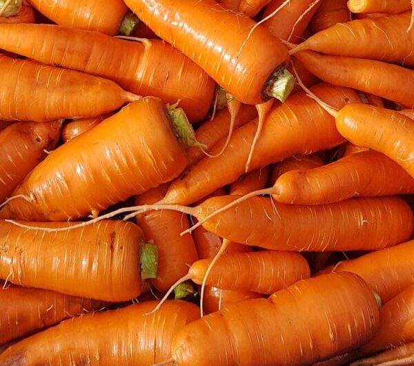 carrots