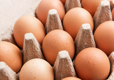 eggs-in-carton