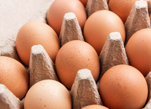 eggs-in-carton