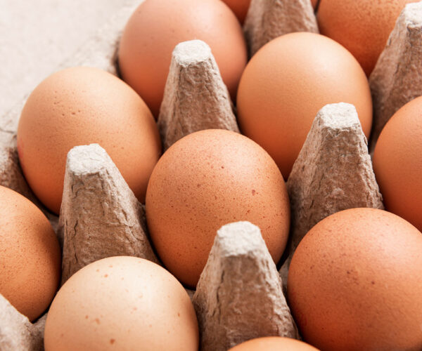 eggs-in-carton