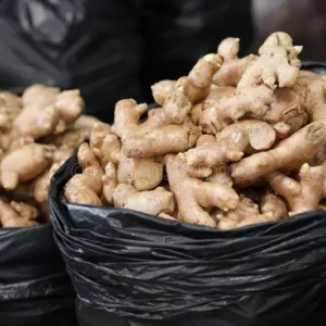Ginger