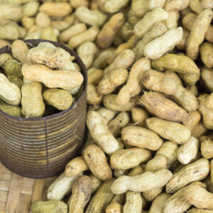 Groundnut
