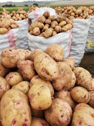 Irish Potatoes