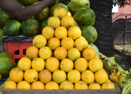 oranges