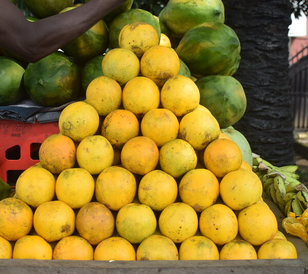 oranges
