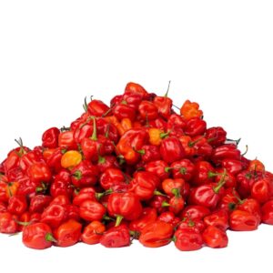 Pepper