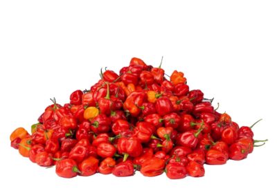 pepper rodo pepper rodo