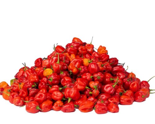 pepper rodo
