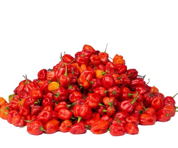 pepper rodo pepper rodo