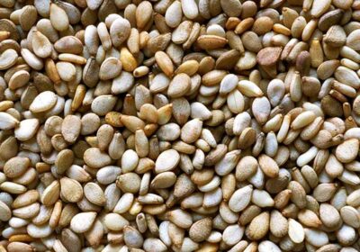 sesame seed