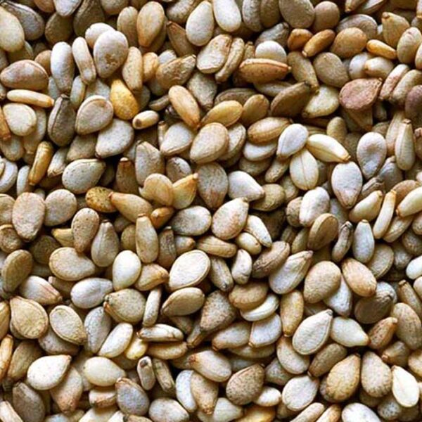 sesame seed