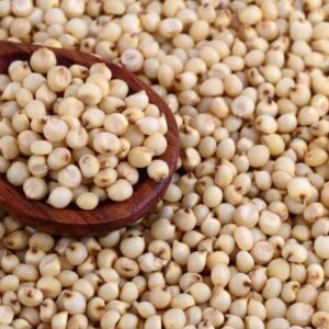 Sorghum
