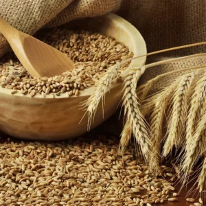 Wheat