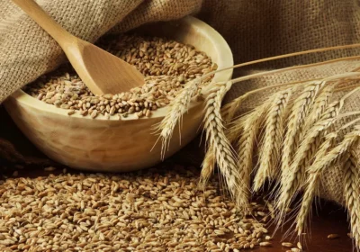 wheat