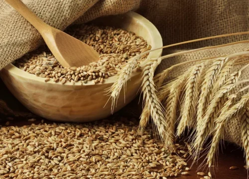 wheat