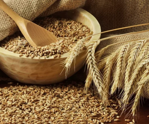 wheat